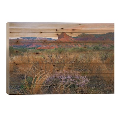 Caprock Canyons State Park, Texas - Horizontal Print On Wood by Tim Fitzharris - Multi-Color