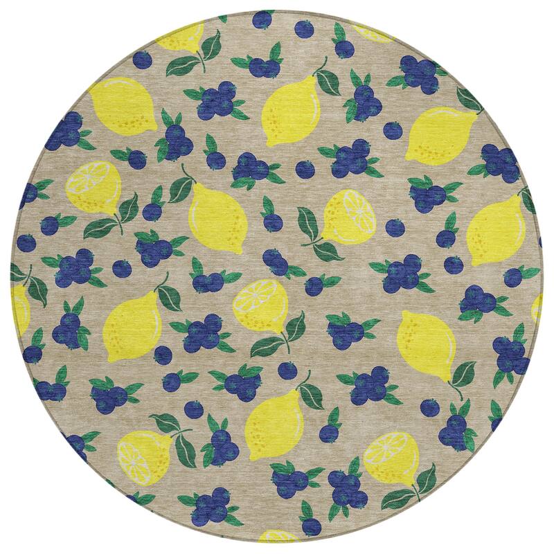 Machine Washable Indoor/ Outdoor Citrus Berry Chantille Rug