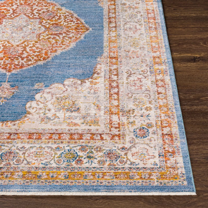 Artistic Weavers Raji Distressed Medallion Area Rug