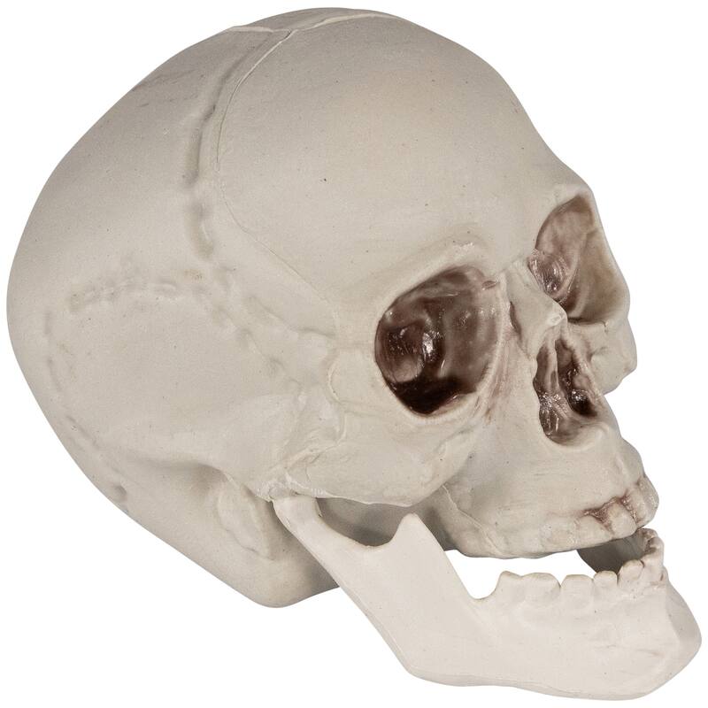 Set of 6 Skull Halloween Decorations 4.75"