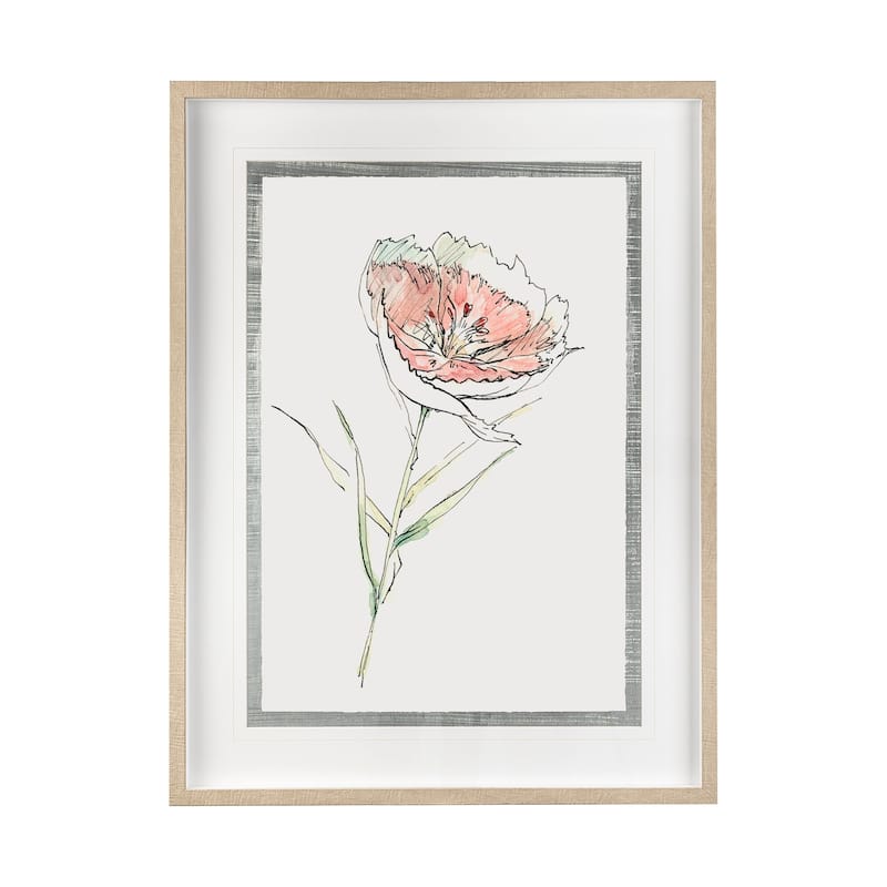 Dianthus II Framed Art Print