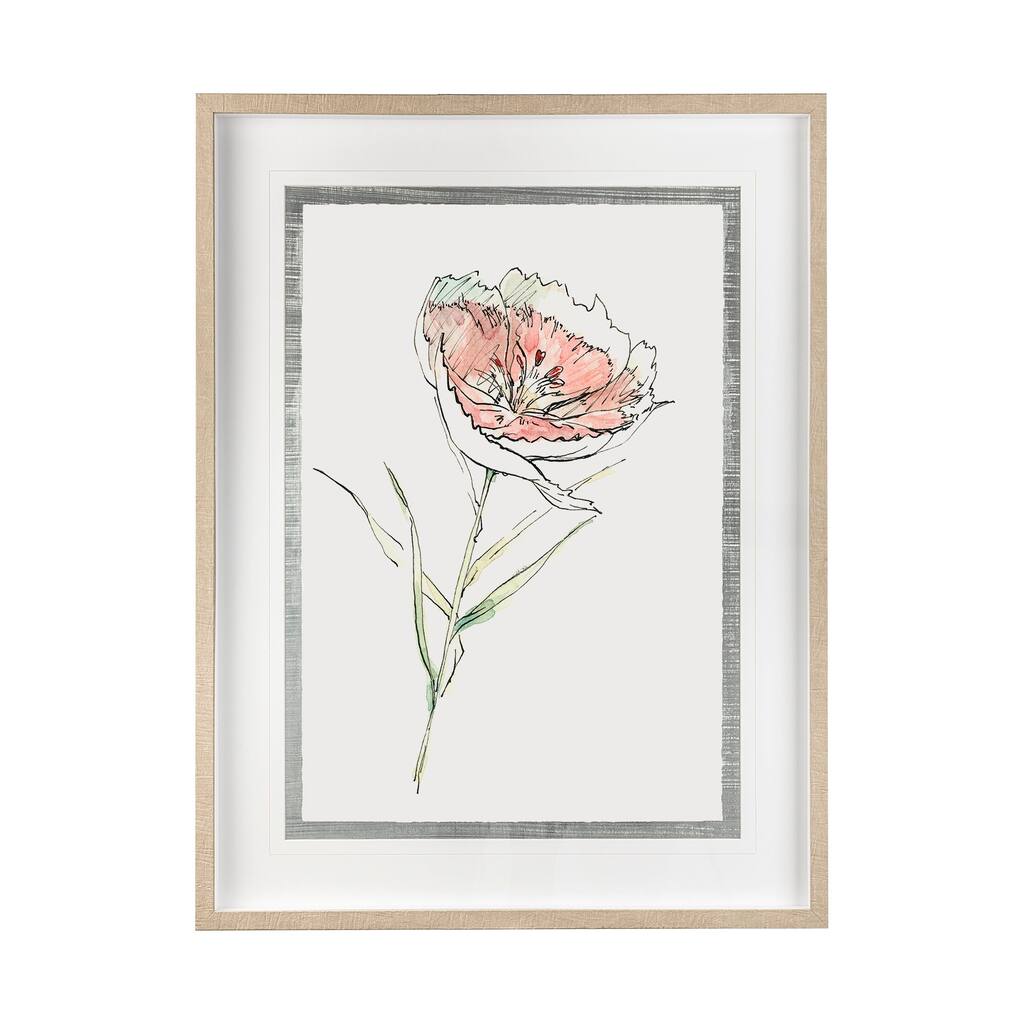 Dianthus II Framed Art Print