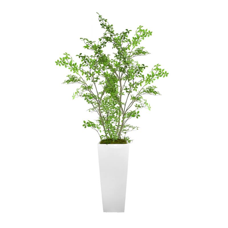 Bonsai Tree in Fiberstone Planter - 82