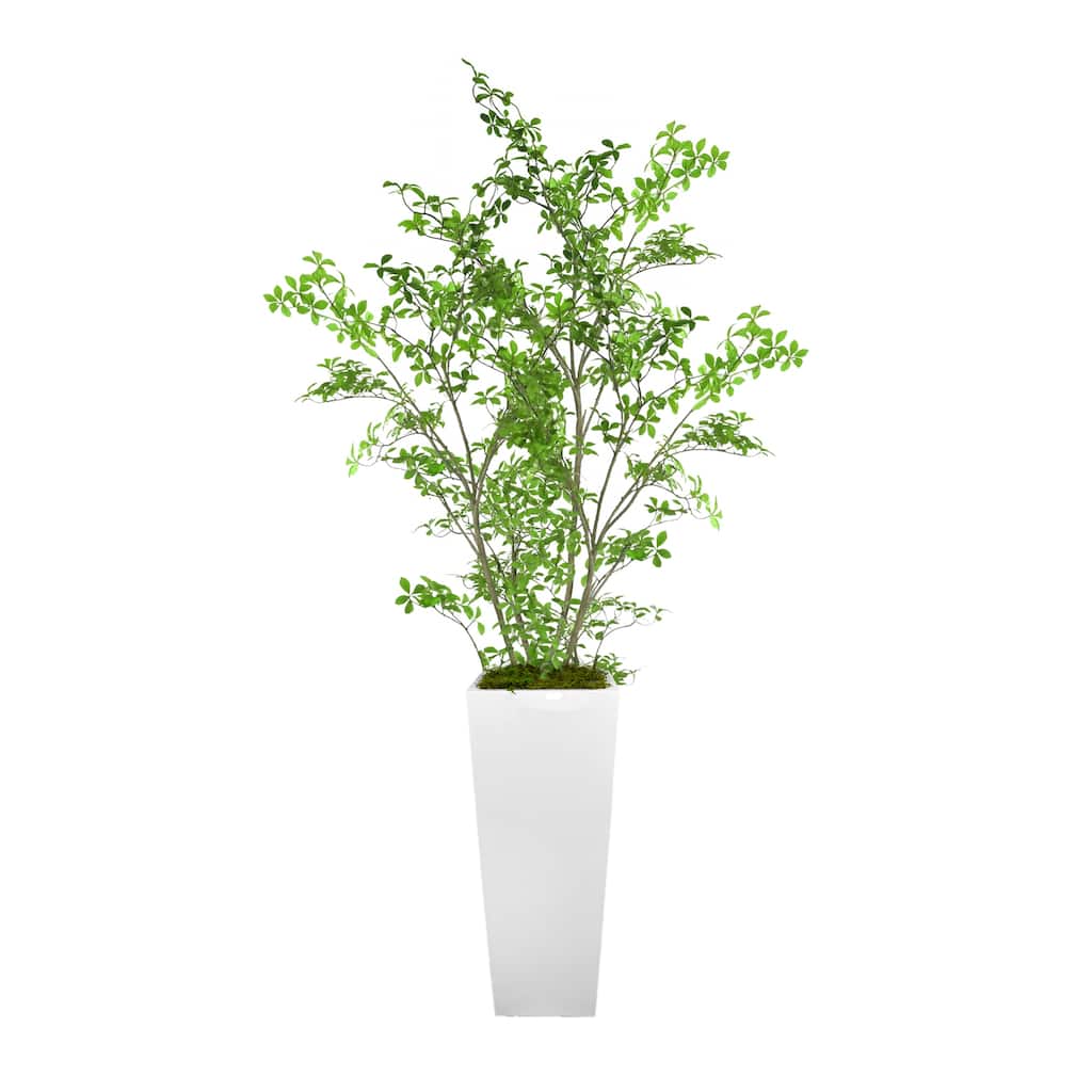 Bonsai Tree in Fiberstone Planter - 82