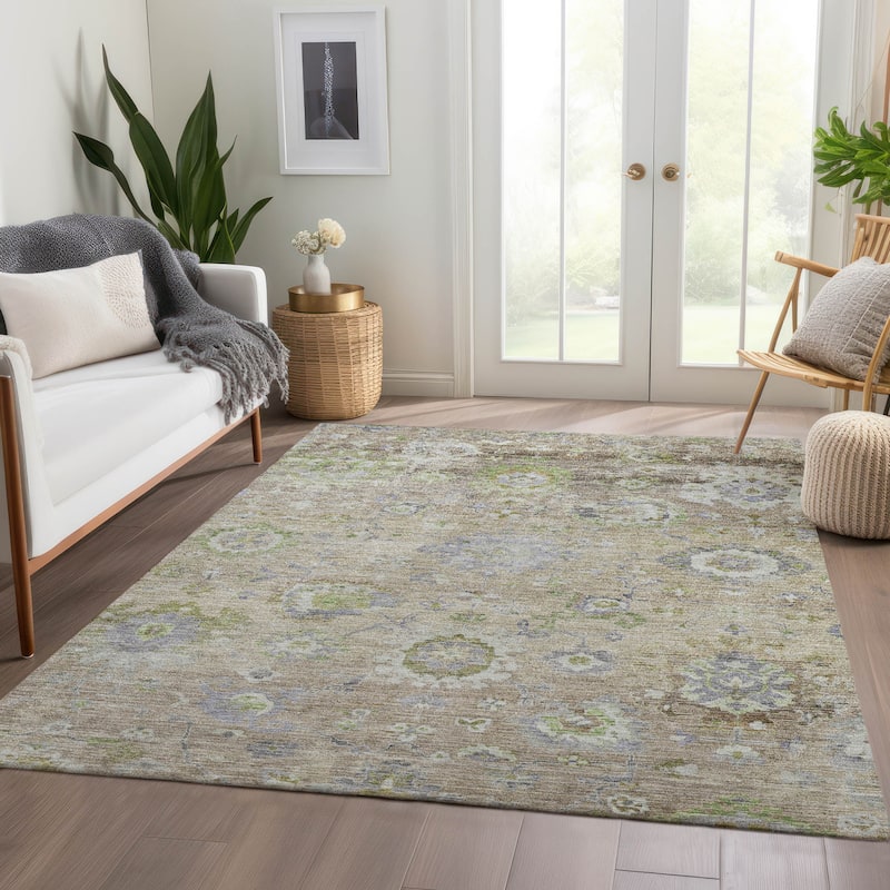 Machine Washable Indoor/ Outdoor Vintage Traditional Chantille Rug