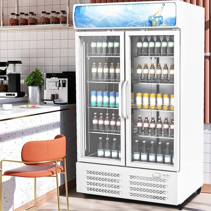 26 Cu.Ft Commercial Glass Door Display Refrigerator with LED Lighting, Energy-Efficient Beverage Cooler