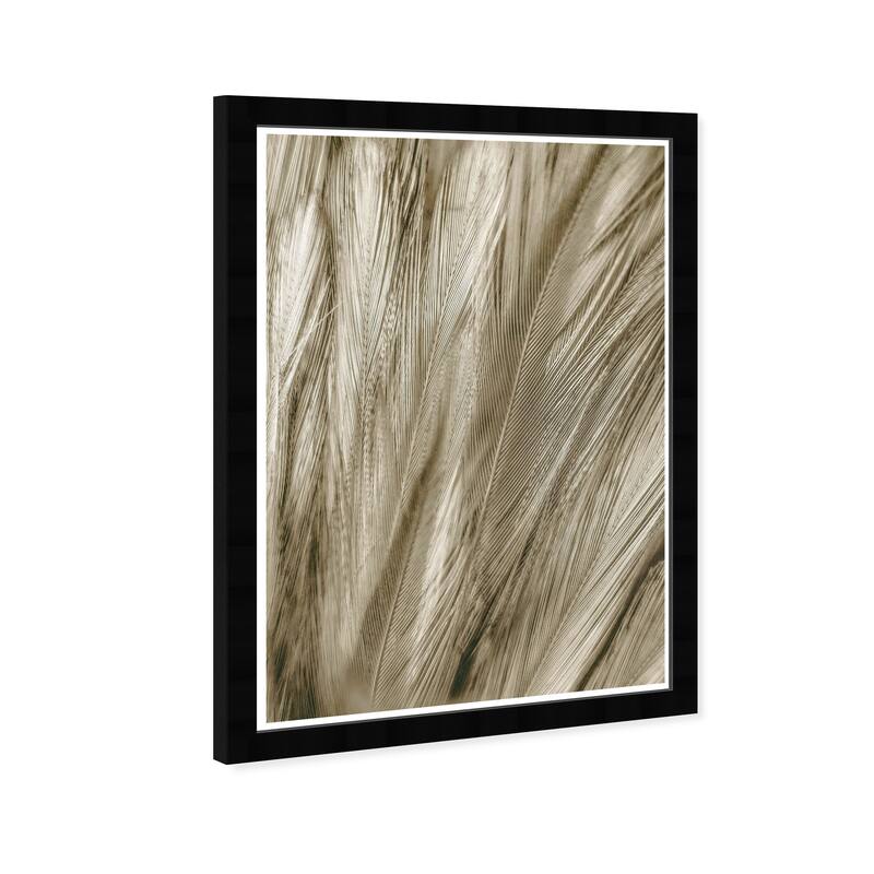 Wynwood Studio Prints Animals Feather Close Up Gold and Metallic Gold Modern & Contemporary Wall Art Canvas Print