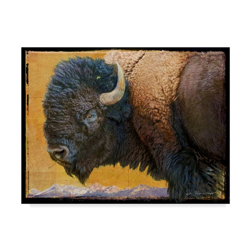 Chris Vest 'Bison Portrait Iii' Canvas Art