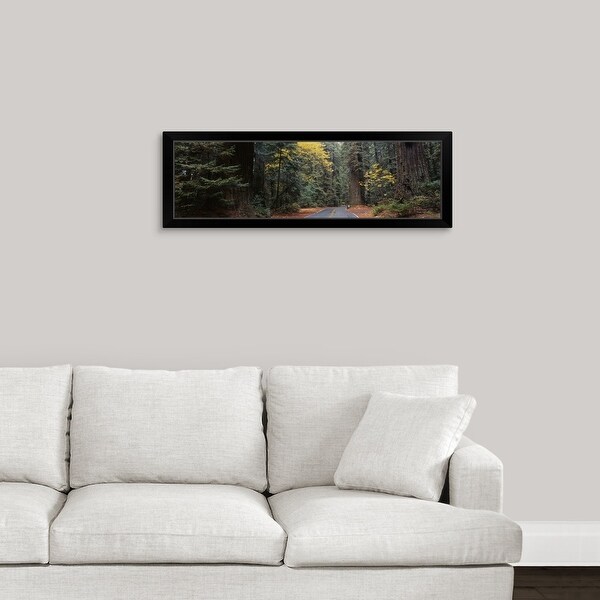 "Road Redwood National Forest CA" Black Framed Print