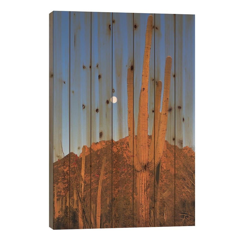 Saguaro Cactus In Desert Landscape, Sonoran Desert, Saguaro National Monument, Arizona Print On Wood by Konrad Wothe - 26x18x1.5