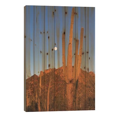 Saguaro Cactus In Desert Landscape, Sonoran Desert, Saguaro National Monument, Arizona Print On Wood by Konrad Wothe