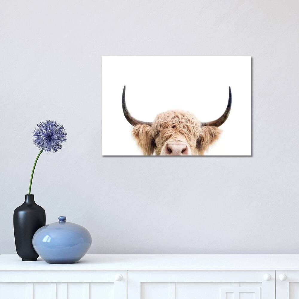 iCanvas "Peeking Cow" by Sisi & Seb Canvas Print