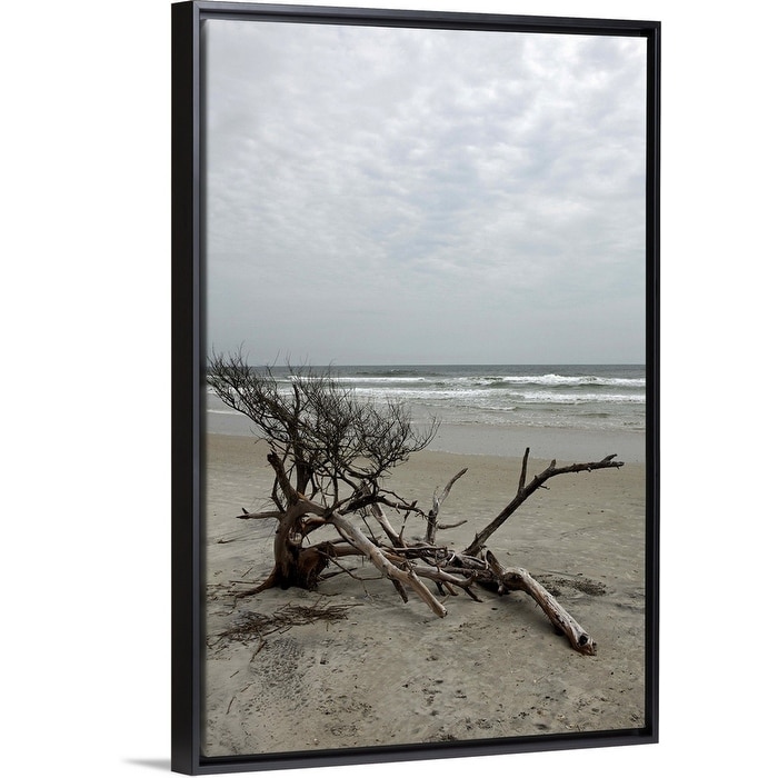 Shop Little Talbot Island State Park Black Float Frame Canvas
