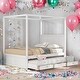 preview thumbnail 20 of 34, Elegant Design Canopy Platform Bed featuring a Twin Size Trundle and Three Storage Drawers,Queen Size