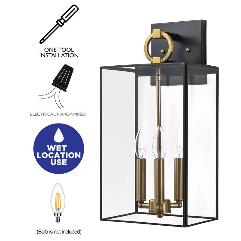 C Cattleya Dark Bronze Finish Solid Brass Outdoor Wall Lantern Sconce