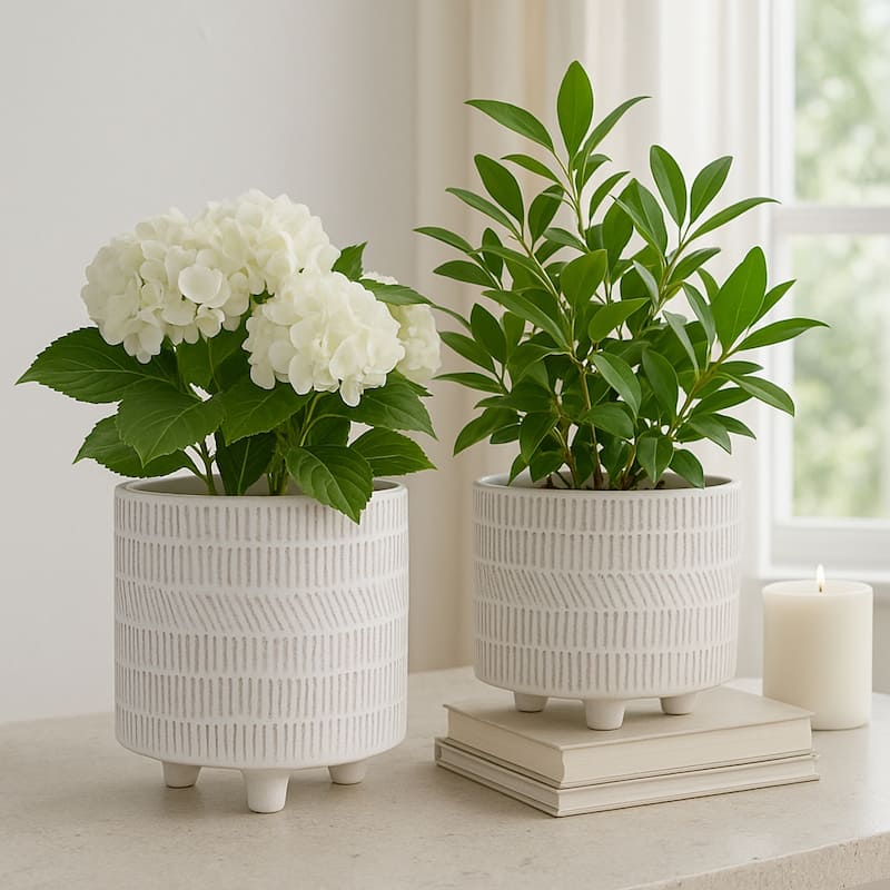 Ceramic Patterned Footed Planter - Set of 2 - 6" - 8" - 8"x8"x8" - IvoryBeige