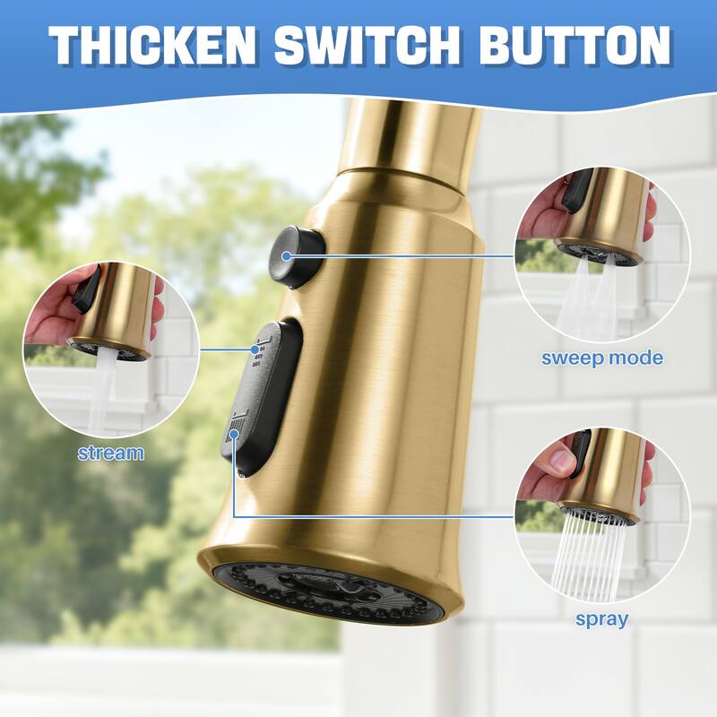 WOWOW Pull Down Kitchen Faucet Spray Head with 9 Adapters Kit