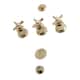 Option Polished Brass