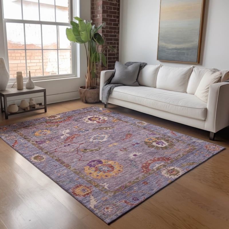 Machine Washable Indoor/ Outdoor Traditional Boho Chantille Rug