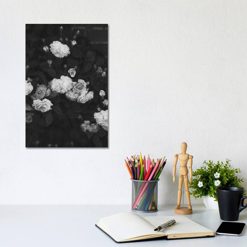 iCanvas "Black And White Roses" by Ruby and B Canvas Print - 12x8x0.75