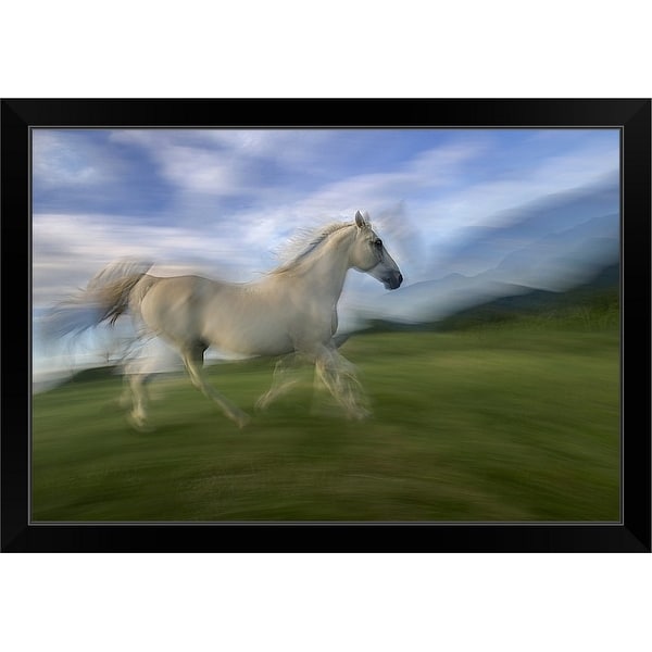 "Lipizzaner Horse" Black Framed Print