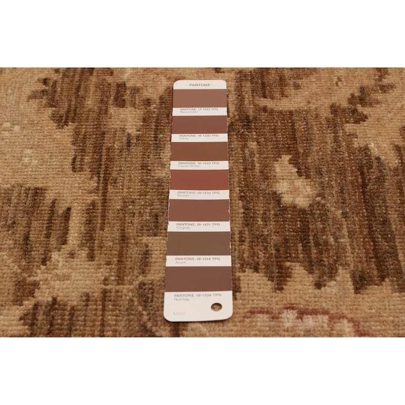 ECARPETGALLERY Hand-knotted Chobi Finest Brown Wool Rug - 5'11 x 9'2