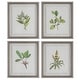 preview thumbnail 1 of 5, Uttermost Wildflower Study Framed Prints, S/4 - 19 W x 22 H x 1.75 D (inches) Light Gray