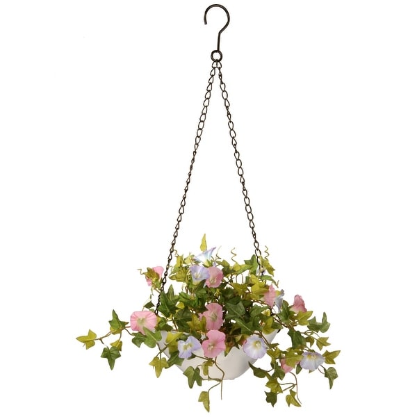9" Morning Glory Plant Hanging Basket - N/A