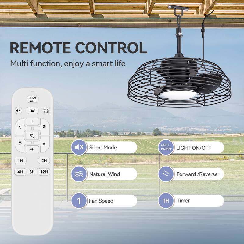 19" Industrial Black Indoor/Outdoor Chandelier Caged Ceiling Fan with Light and Remote