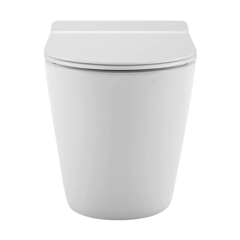 Angers Back To Wall Concealed Tank Toilet Bowl, Black Hardware - 22.25" x 14.35" 16.15" - 22.25" x 14.35" 16.15" - White