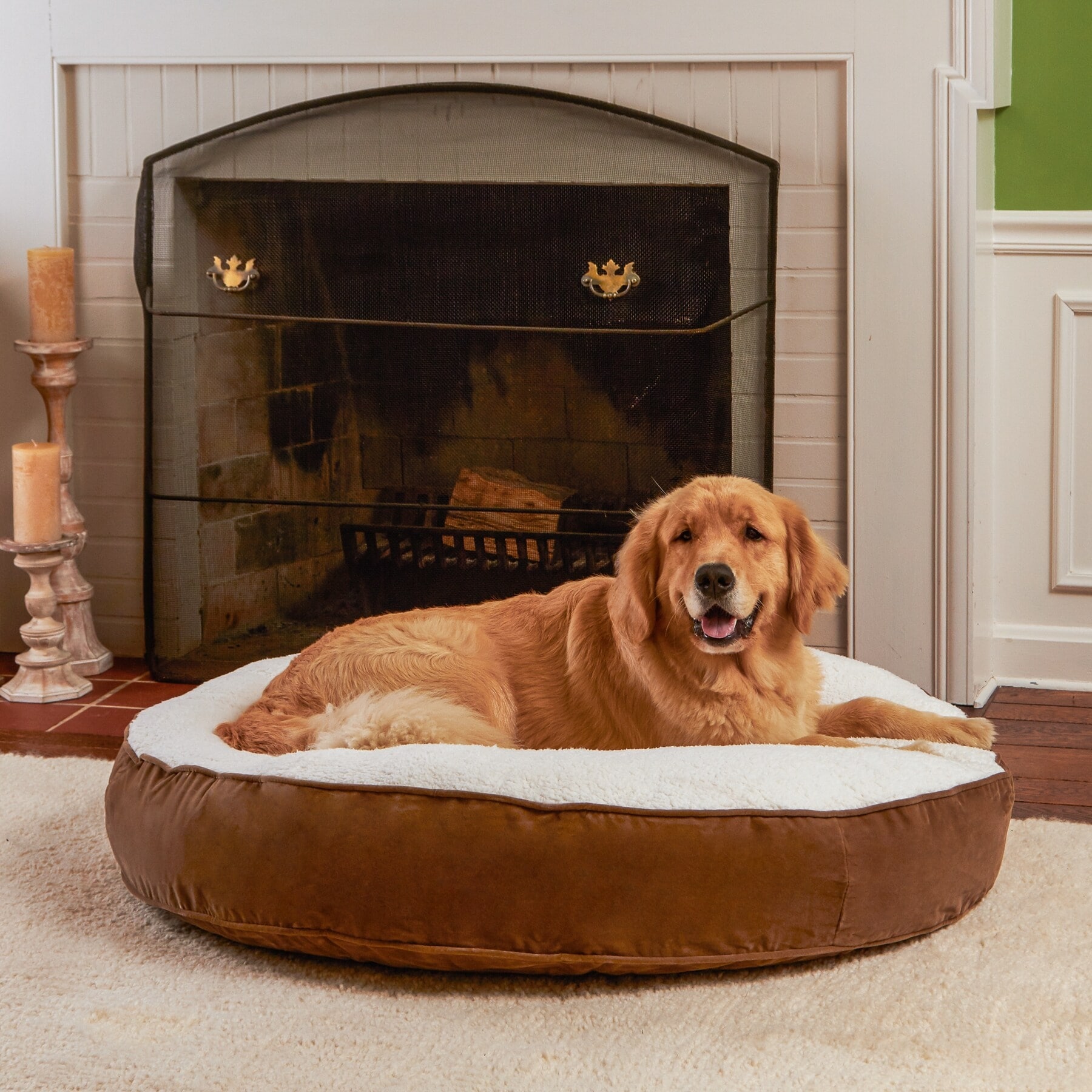 Bed bath and beyond pet beds new arrivals