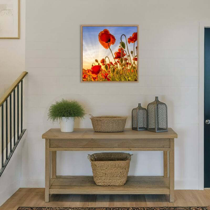 Fascinating Poppies by Melanie Viola Framed Canvas Wall Art Print