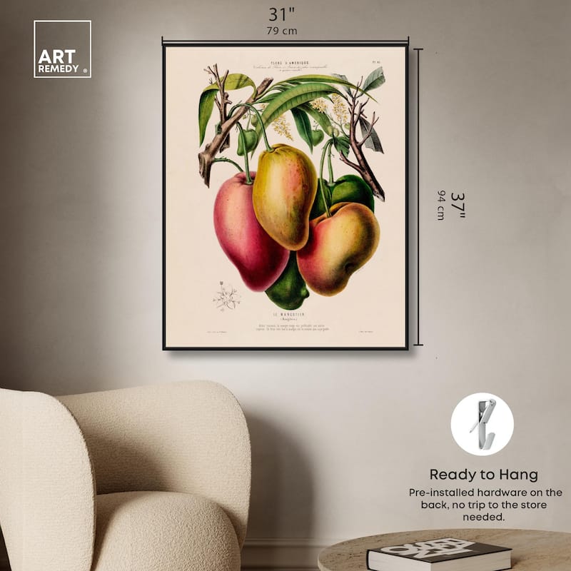 Mangoes by Etienne Denisse Canvas by Art Remedy