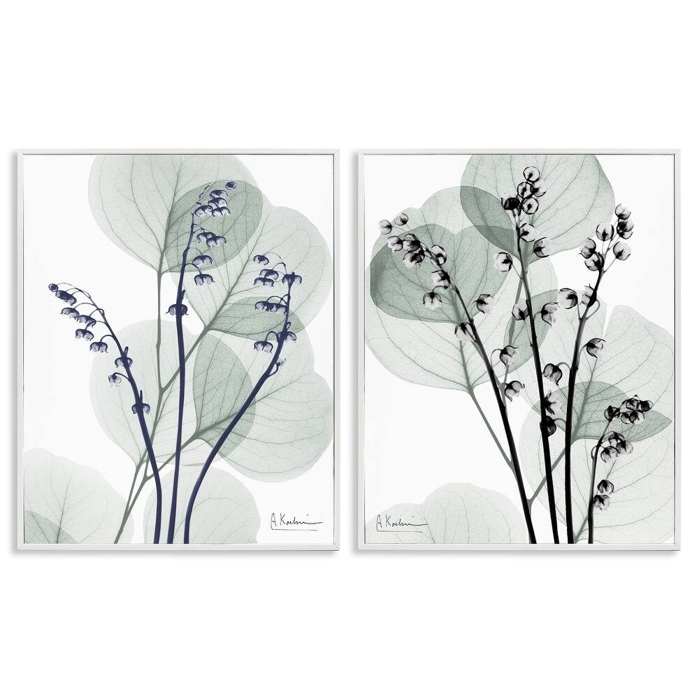 Stupell Future Dusk Opaque Herbs Framed Giclee Art Design By Albert Koetsier (Set of 2)