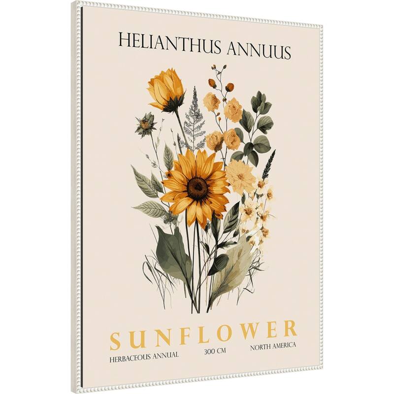 Vintage Botanical Sunflower No. 2 Illustration by Christopher Giampietro Framed Canvas Wall Art Print