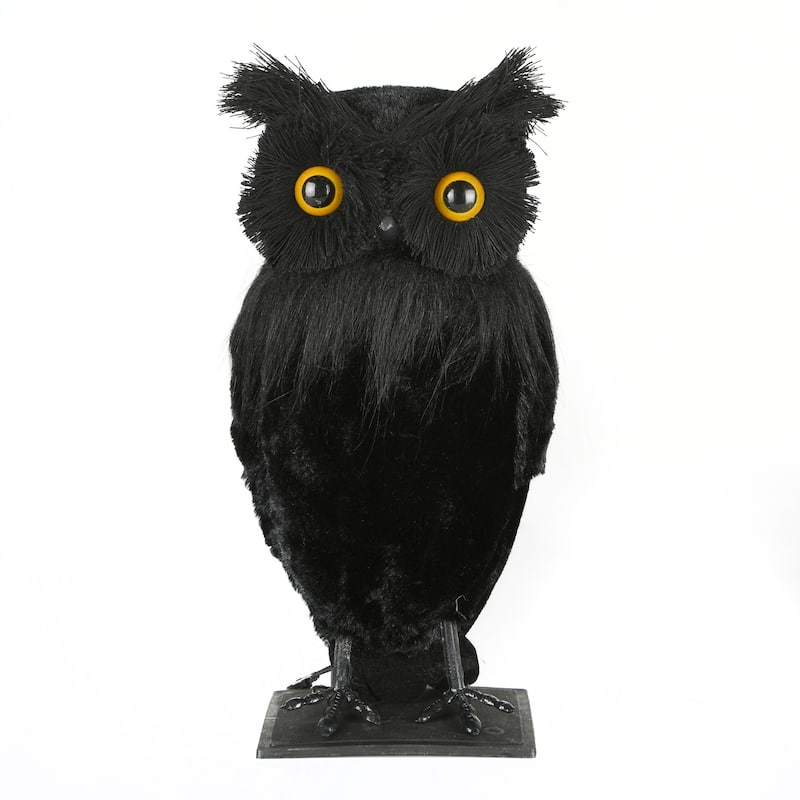 National Tree Company Halloween Tabletop Decoration, Black, Lifelike Owl, 11 Inches