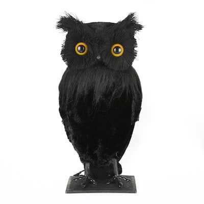 National Tree Company Halloween Tabletop Decoration, Black, Lifelike Owl, 11 Inches