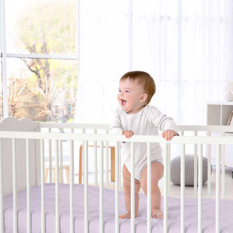 Sweet Jojo Designs Boho Shabby Chic Floral Girl 2 Pack Fitted Crib Sheets Solid Purple Ivory Bohemian Vintage Watercolor Elegant