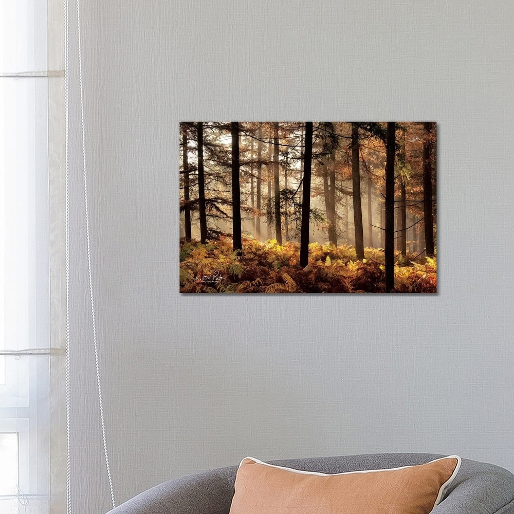 iCanvas "Fern Forest" by Martin Podt Canvas Print