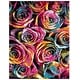 preview thumbnail 12 of 15, SAFAVIEH Fiesta Shag Racquel Rose Rug 8' x 10' - Fuchsia/Multi - Rectangle
