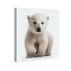 preview thumbnail 4 of 5, Wynwood Studio Canvas Animals Baby Animal Polar Bear White and Modern & Contemporary Wall Art Canvas Print - White,