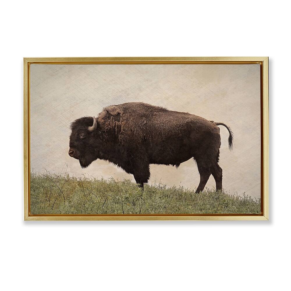 Stupell Serene Buffalo on Country Hill Framed Floater Canvas Wall Art Design By Steve Toole