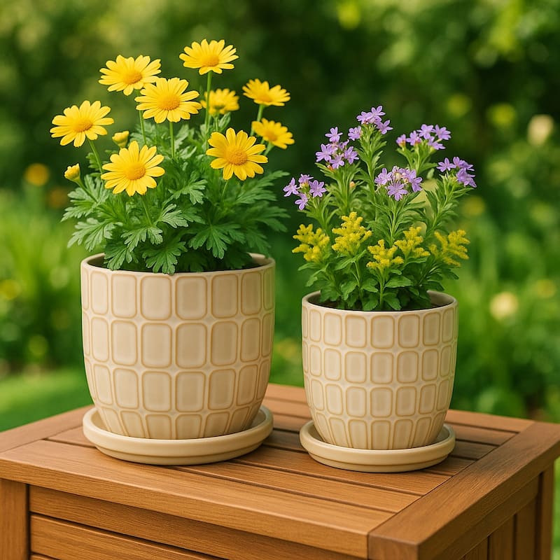 Decorative Ceramic Platner with Pattern - Set of 2, 8", 6", Ivory - Ivory - 7.75"