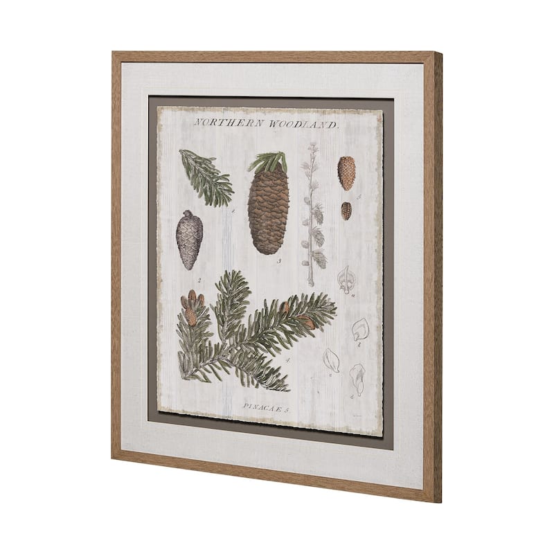 Woodland Chart IV Framed Art Print
