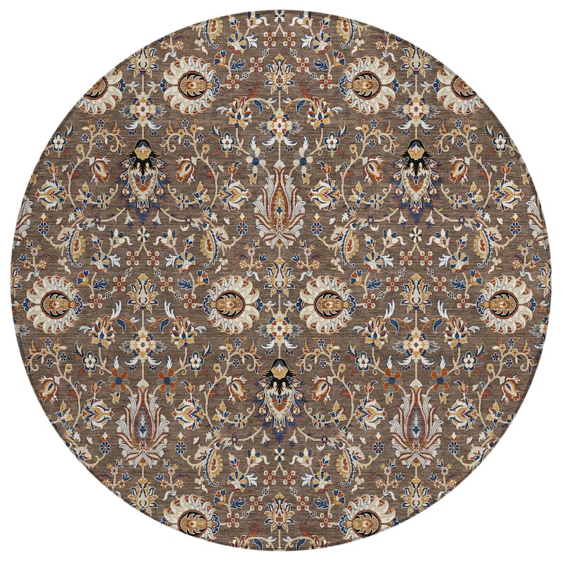 Machine Washable Indoor/Outdoor Traditional Persian Chantille Rug