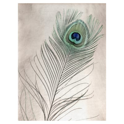 Feathers #11 Canvas Art Print