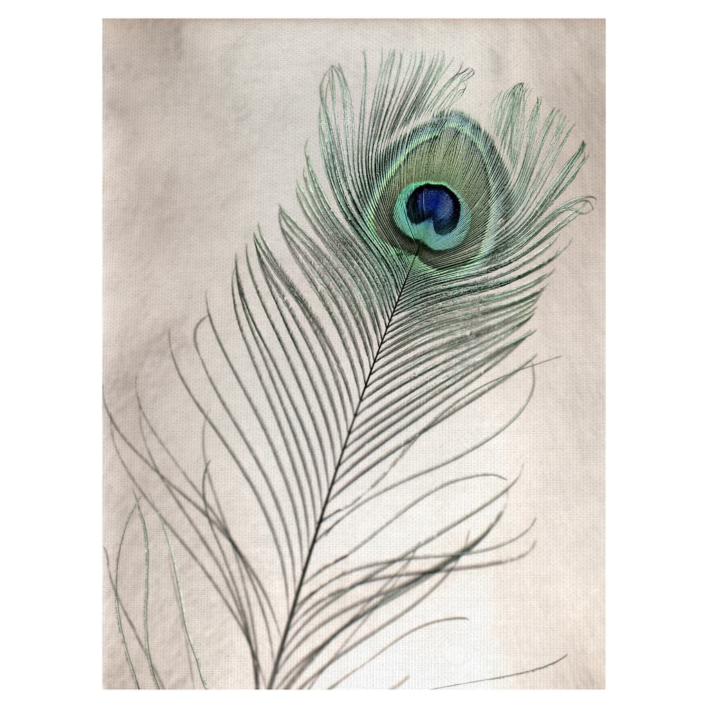 Feathers #11 Canvas Art Print
