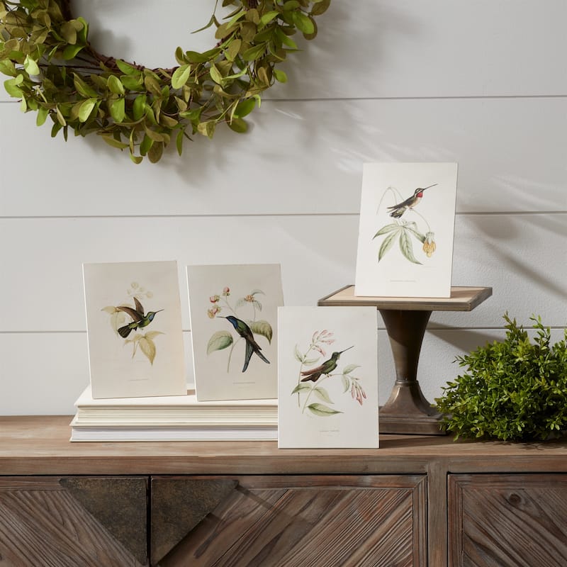 Hummingbird Print (Set of 4) - Multi-Color