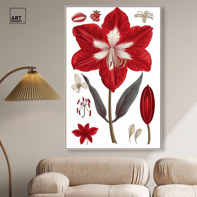 Amaryllis Anatomy Canvas by Art Remedy
