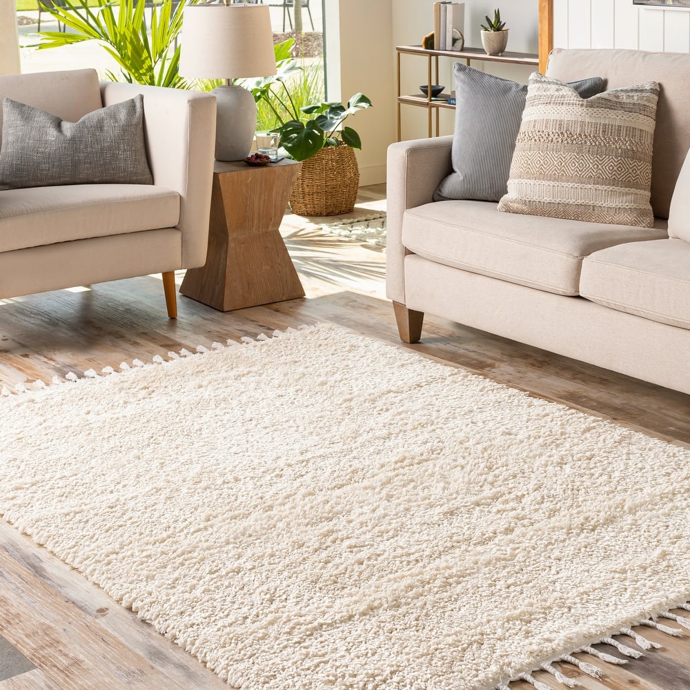 Artistic Weavers Breda Solid Boho Area Rug